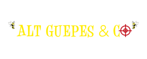 Création de sites internet Alt Guêpes & Co