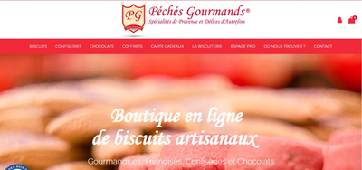 Projet Site eCommerce Prestashop + Marketing Digital