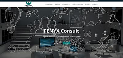 Ralisation Site Web et Rfrencement : Fenyx Consult