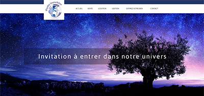 Ralisation Site Web et Rfrencement : Plante Immobilier