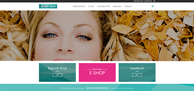 Ralisation Site Web et Rfrencement : Bigoudi Shop