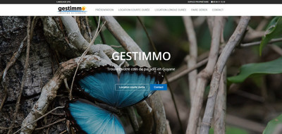 Ralisation Site Web et Rfrencement : Gestimmo